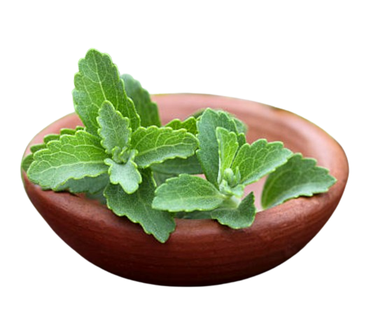 天然高倍甜味剂 甜菊糖苷.png